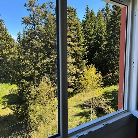 Lejlighed Havre De Paix - Pied Telesiege Chamrousse
